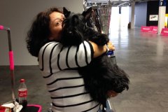Scottish-Terrier-Polvere-di-Stelle-Peabar-Honky-Tonk-Woman-_004