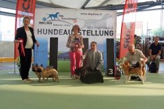 Scottish-Terrier-Polvere-di-Stelle-Peabar-Honky-Tonk-Woman-_Kreuzlingen