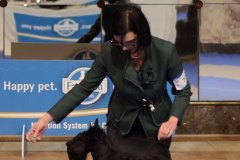 Scottish-Terrier-Polvere-di-Stelle-Peabar-Honky-Tonk-Woman_018
